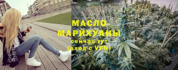 молекула духа Богданович