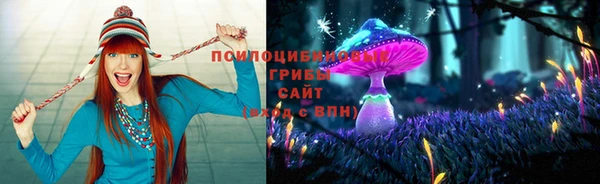соль курить ск Богородицк