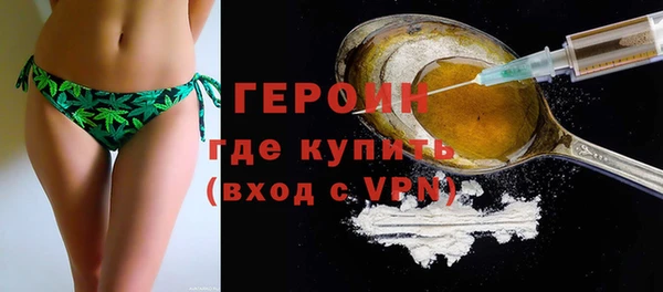 молекула духа Богданович