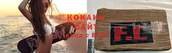 молекула духа Богданович
