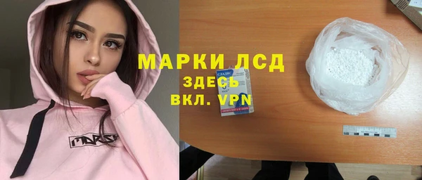 молекула духа Богданович
