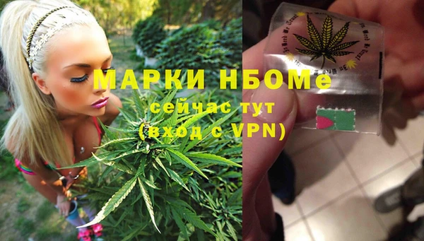 молекула духа Богородск
