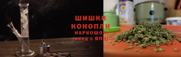 молекула духа Богданович
