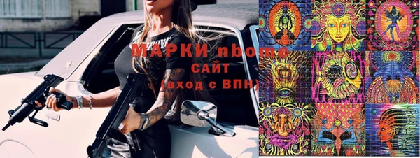 молекула духа Богданович
