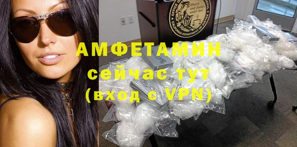 молекула духа Богданович
