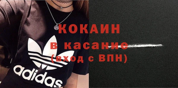 молекула духа Богданович