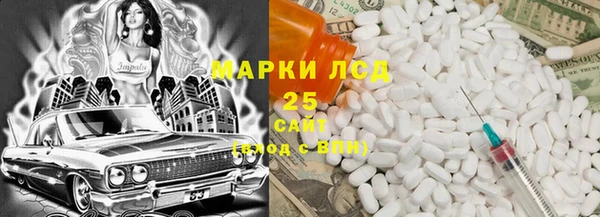молекула духа Богданович
