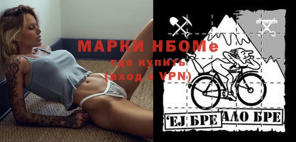 молекула духа Богданович