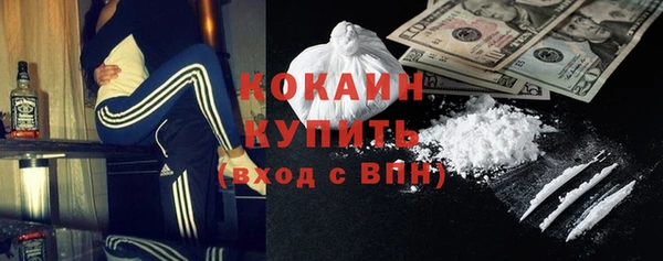 молекула духа Богданович