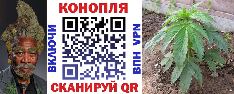 Бошки Шишки LSD WEED  Купить закладки  Сухиничи 